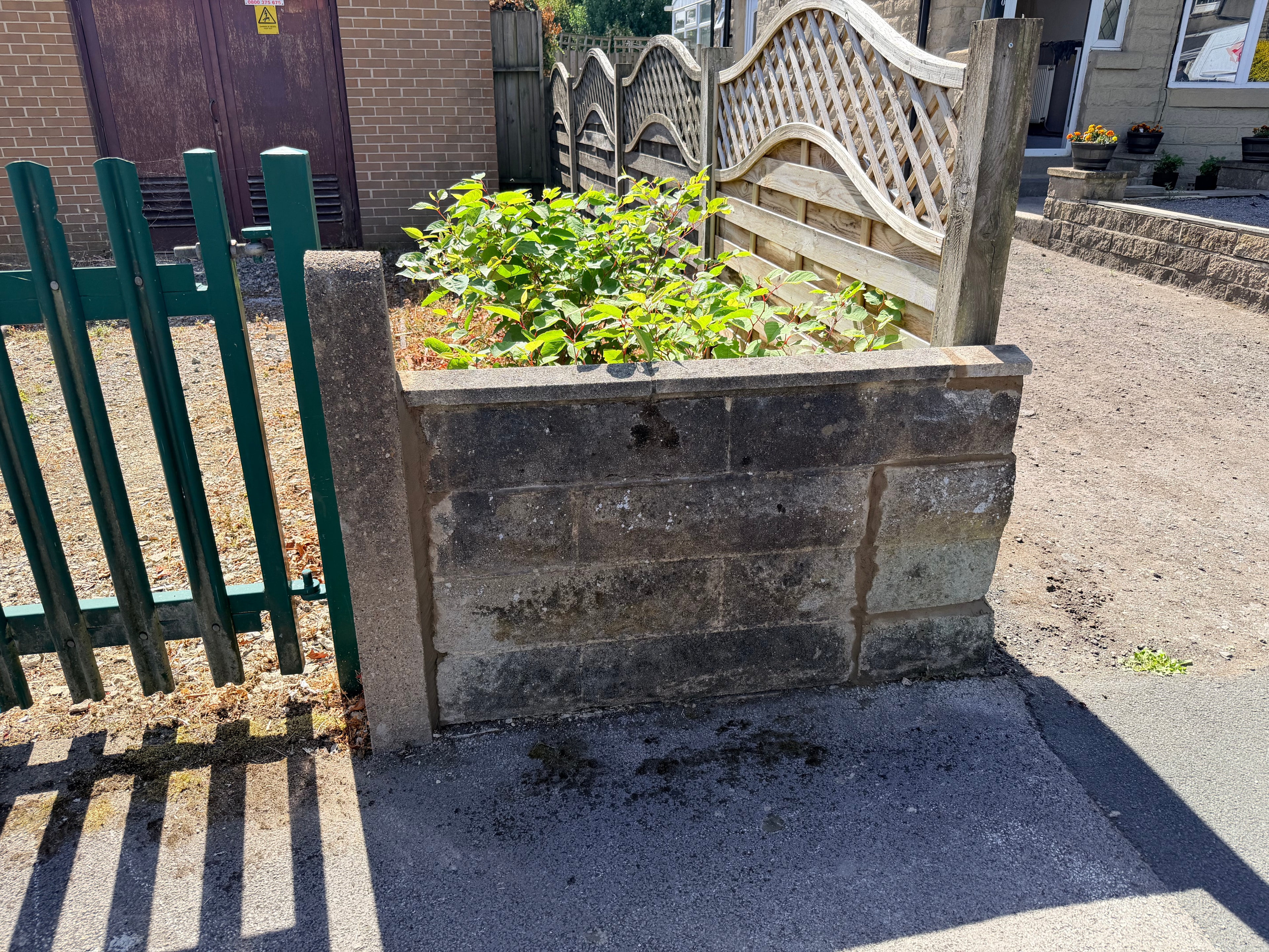 New fence and gate